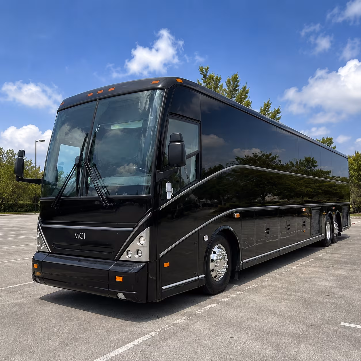 natural bridge caverns buses for round rock school day trips